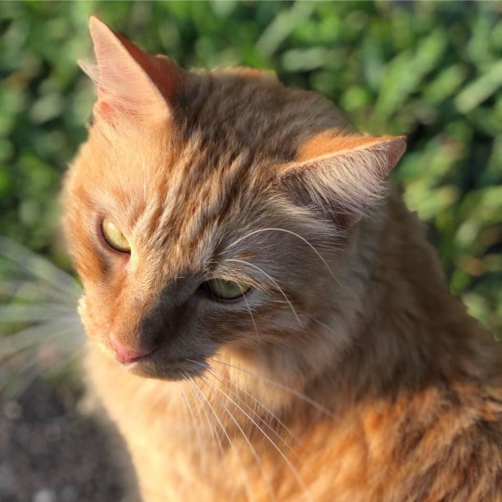 Meet your Posher, Lynn